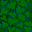 BUSH00F1