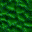 BUSH01F1