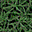 BUSH03F1