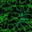 BUSH03F3