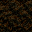 DIRT01F3