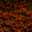 DIRT02F3