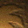 HEIR09F1