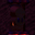 HEIR12R3