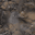 MARB03F1