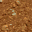 SAND01F1