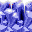 SNOW02F1