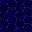 STON20F1