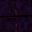STON23R1